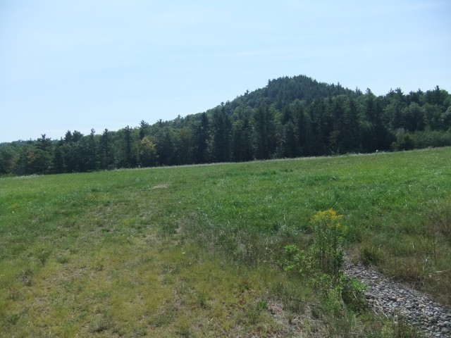 Cheny Mt Trail - start
