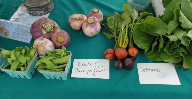 Beets, Turnips, Lettuce