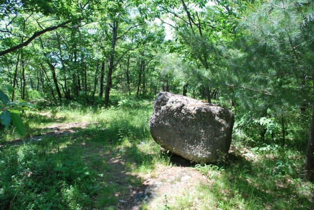 Glacier boulder