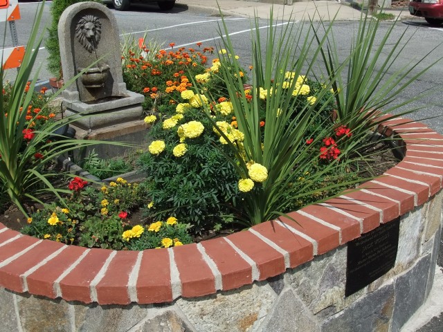 Fountain in Traffic Circle