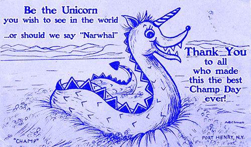 Narwhal Champ Thank You NarChampThanks